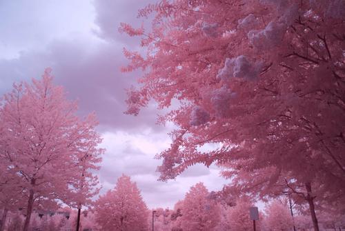Infrared