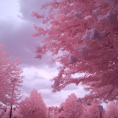 Infrared